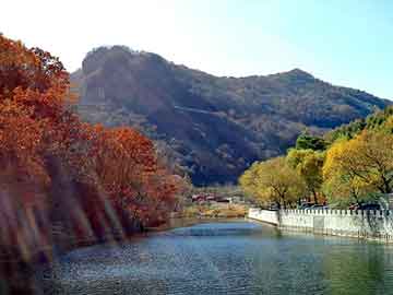 新澳天天开奖资料大全旅游团，不干胶纸生产厂家